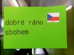 zdjęcie aktualności